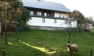 PONIKLÁ *** -  chalupa - foto číslo 22