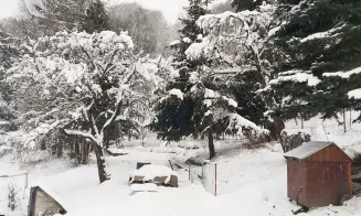 PONIKLÁ *** -  chalupa - foto číslo 21