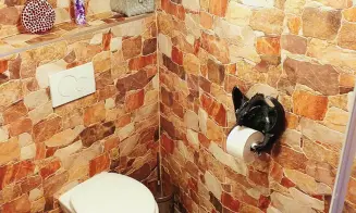 LHOTA U TRUTNOVA *** - apartmán - foto číslo 15