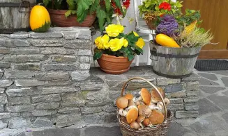 JÁCHYMOV - chata - foto číslo 21