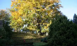 KOVÁŘSKÁ - chalupa - foto číslo 2