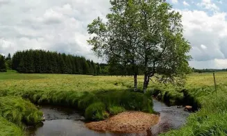 HÁJ - rekreační dům bez majitele - foto číslo 11