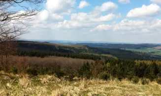 ČESKÝ JIŘETÍN - rekreační dům - foto číslo 13