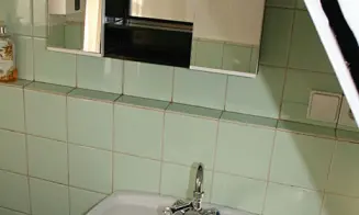 ČERNÝŠ U PERŠTEJNA *** - chalupa - řeka Ohře 100 m - foto číslo 6