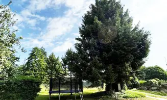 LETOHRAD - roubená chalupa - foto číslo 11