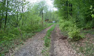 VALTEŘICE - SUCHÝ VRCH - srub - foto číslo 24