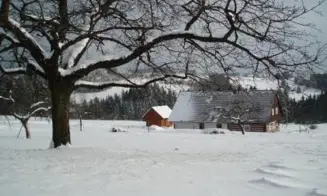 SNĚŽNÉ - nadstandardně  vybavená roubená chalupa - foto číslo 9