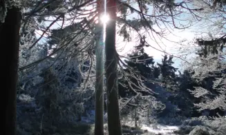 SNĚŽNÉ - nadstandardně  vybavená roubená chalupa - foto číslo 24