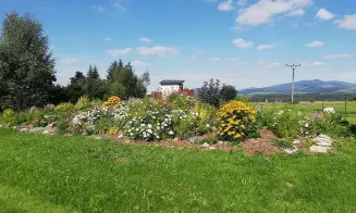 DOLNÍ BOŘÍKOVICE - chalupa - foto číslo 40