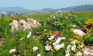 DOLNÍ BOŘÍKOVICE - chalupa - foto číslo 20