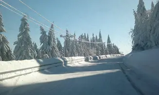 ORLICKÉ ZÁHOŘÍ - chalupa - foto číslo 29