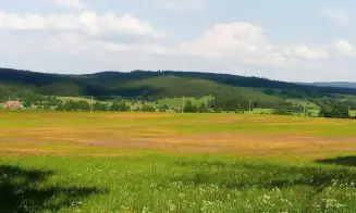 ORLICKÉ ZÁHOŘÍ - chalupa - foto číslo 22