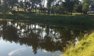 ORLICKÉ ZÁHOŘÍ - chalupa - foto číslo 4