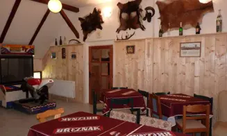 ORLICKÉ ZÁHOŘÍ - horská chalupa - foto číslo 11