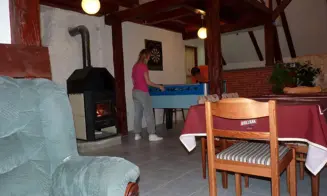 ORLICKÉ ZÁHOŘÍ - horská chalupa - foto číslo 3