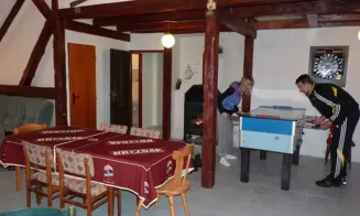 ORLICKÉ ZÁHOŘÍ - horská chalupa - foto číslo 39