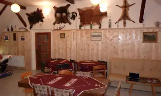 ORLICKÉ ZÁHOŘÍ - horská chalupa - foto číslo 15