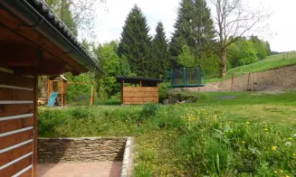 OLEŠNICE V ORLICKÝCH  HORÁCH -  chalupa - foto číslo 23