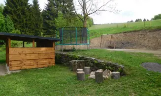 OLEŠNICE V ORLICKÝCH  HORÁCH -  chalupa - foto číslo 15