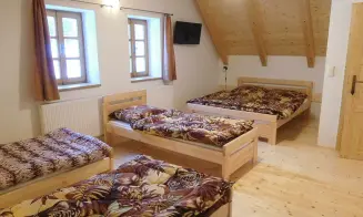 OLEŠNICE V ORLICKÝCH  HORÁCH -  chalupa - foto číslo 17