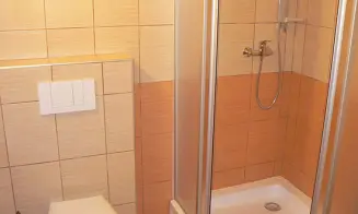 OLEŠNICE V ORLICKÝCH  HORÁCH -  chalupa - foto číslo 29