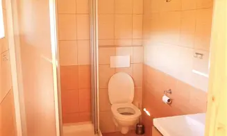 OLEŠNICE V ORLICKÝCH  HORÁCH -  chalupa - foto číslo 1