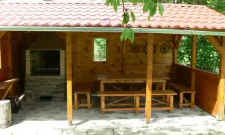 OLEŠNICE V ORLICKÝCH HORÁCH - chalupa - foto číslo 2