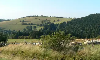 OLEŠNICE V ORLICKÝCH HORÁCH - chalupa - foto číslo 8