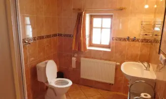 OLEŠNICE V ORLICKÝCH HORÁCH - chalupa - foto číslo 7