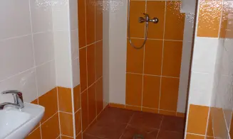 OLEŠNICE V ORLICKÝCH HORÁCH - chalupa - foto číslo 13