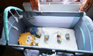 OLEŠNICE V OH -  roubenka - foto číslo 23