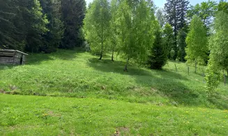 OLEŠNICE V OH -  roubenka - foto číslo 40