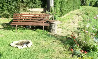 HORNÍ PLANÁ - chata - foto číslo 16