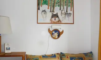 HORNÍ PLANÁ - chata - foto číslo 2