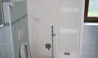 OLŠINA - rekreační dům - foto číslo 4