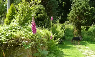 RAČOV - chalupa - foto číslo 6