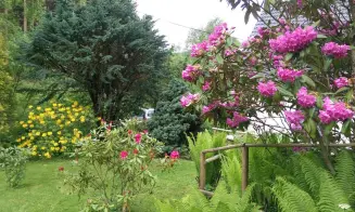 RAČOV - chalupa - foto číslo 2