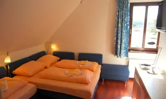 BOROVÁ LADA - apartmán č.6 - foto číslo 5