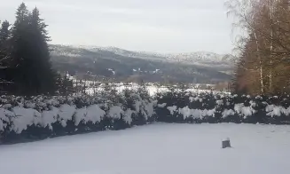 FRYMBURK -  chalupa - foto číslo 17