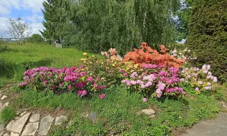 MILENCE - rekreační dům - foto číslo 29