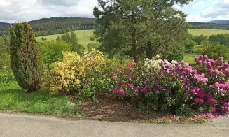 MILENCE - rekreační dům - foto číslo 17