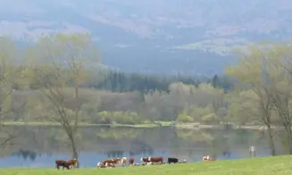 HORY - chata - 2 apartmány - foto číslo 9