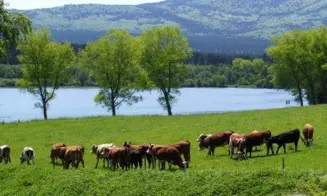 HORY - chata - 2 apartmány - foto číslo 11