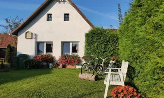 LIBOUŇ - chalupa se zapuštěným bazénem - foto číslo 14