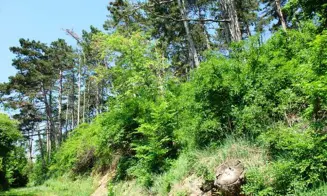 MĚŇANY - chalupa se zapuštěným bazénem - foto číslo 4