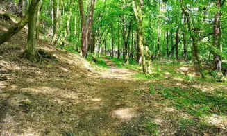 ŠLOVICE - chata - foto číslo 7