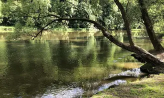 NEZABUDICE - chata - foto číslo 17