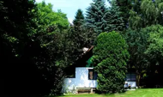 SENOŽATY - chata - foto číslo 17