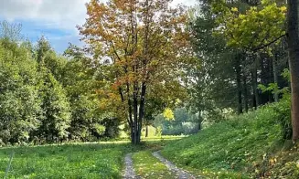 MENDRYKA - luxusní srub s vnitřním bazénem - foto číslo 15