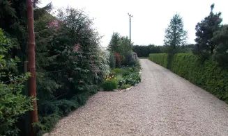 VELENOV - kanadský srub - foto číslo 5